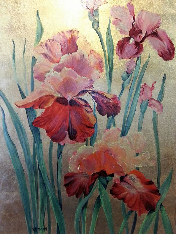 Bearded Iris's-Giorann Henshaw