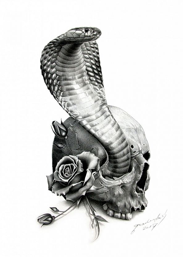 COBRA-Miro Gradinscak