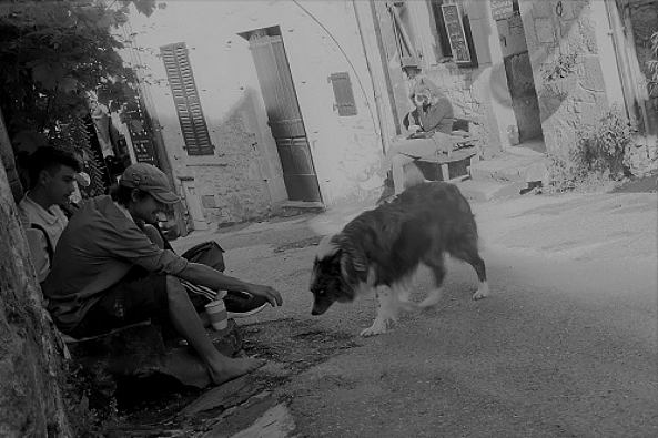 Pierre et le loup-James Brondolo