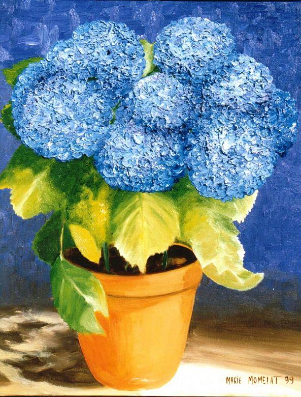 Hommage en Bleu à la Reine Hortense-marie momelat