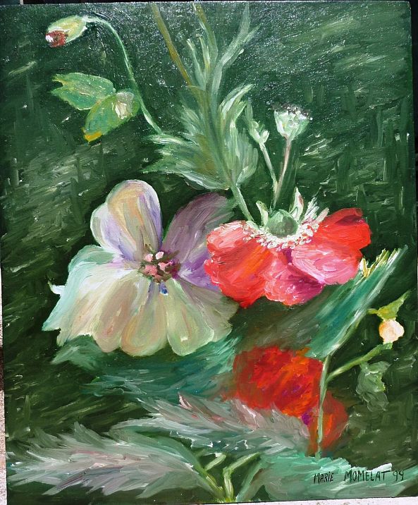 PAVOTS 1-marie momelat