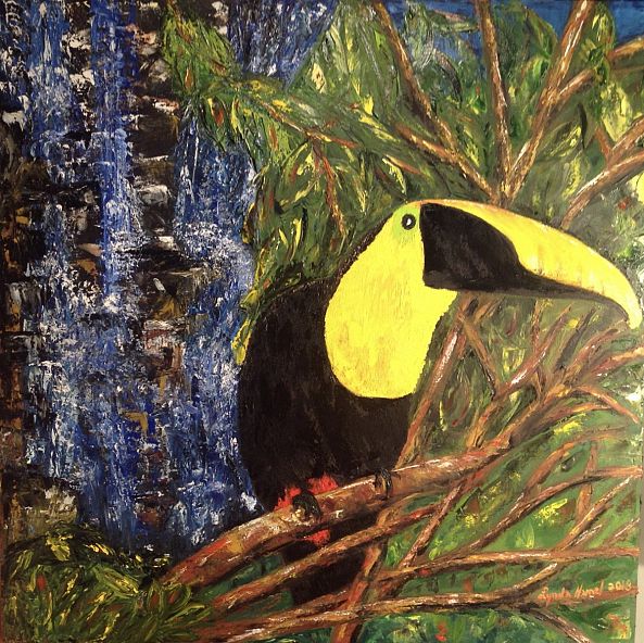 133- Le toucan du Costa Rica-Lynda Hamel