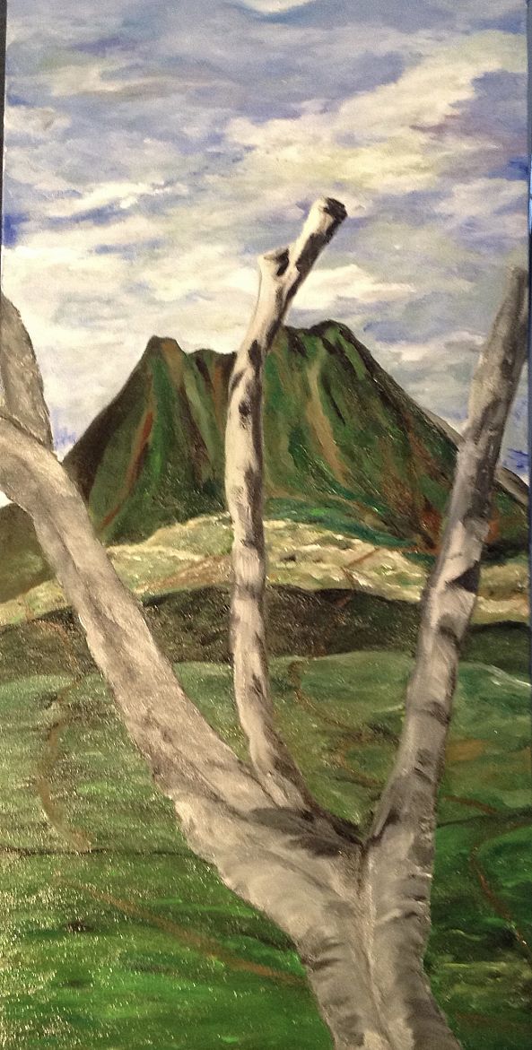 141- Le paysage du Costa Rica-Lynda Hamel