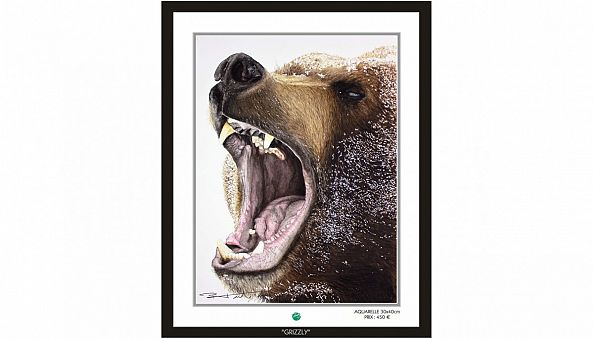 "Grizzly"-Pierre Frutschi