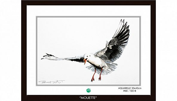 "MOUETTE"-Pierre Frutschi