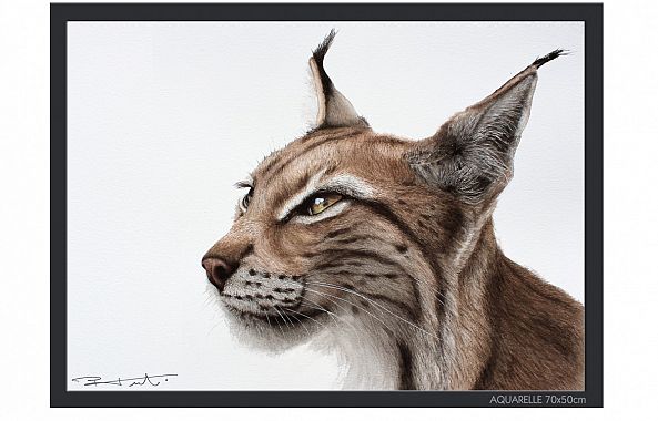 "LYNX"-Pierre Frutschi