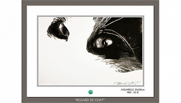 REGARD DE CHAT-Pierre Frutschi