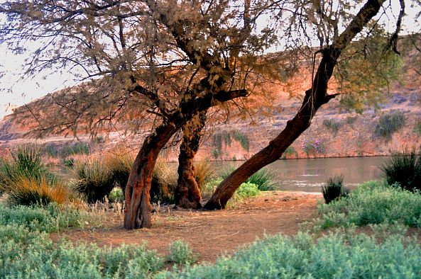 notre cote de l'oued -Abed Allatif