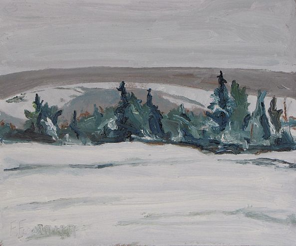 The Snowy Field-Francois Fournier