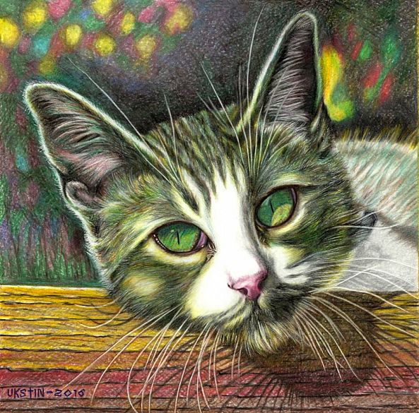 The Cat-Carlos Ukstin