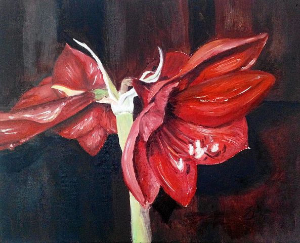Red flowers-Narcisa Stejeran