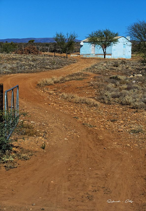 Road to blue house-rolando olly