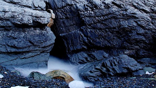 The Chasm-Greg Bolger