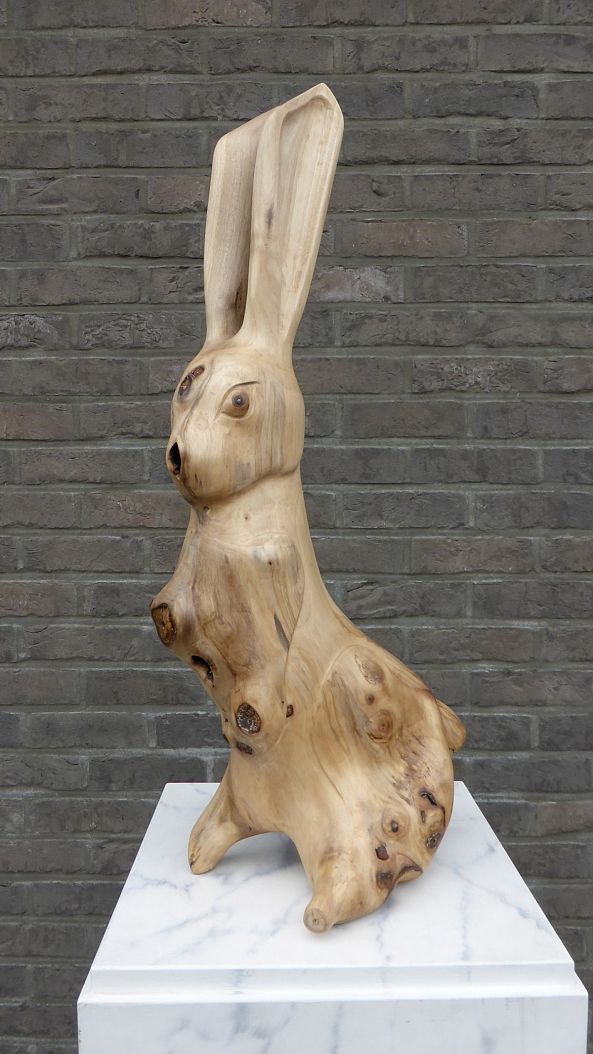 HARE-Jan Van Braekel