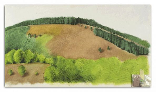 Paysage au coulis de kiwi-Christine Gasarian