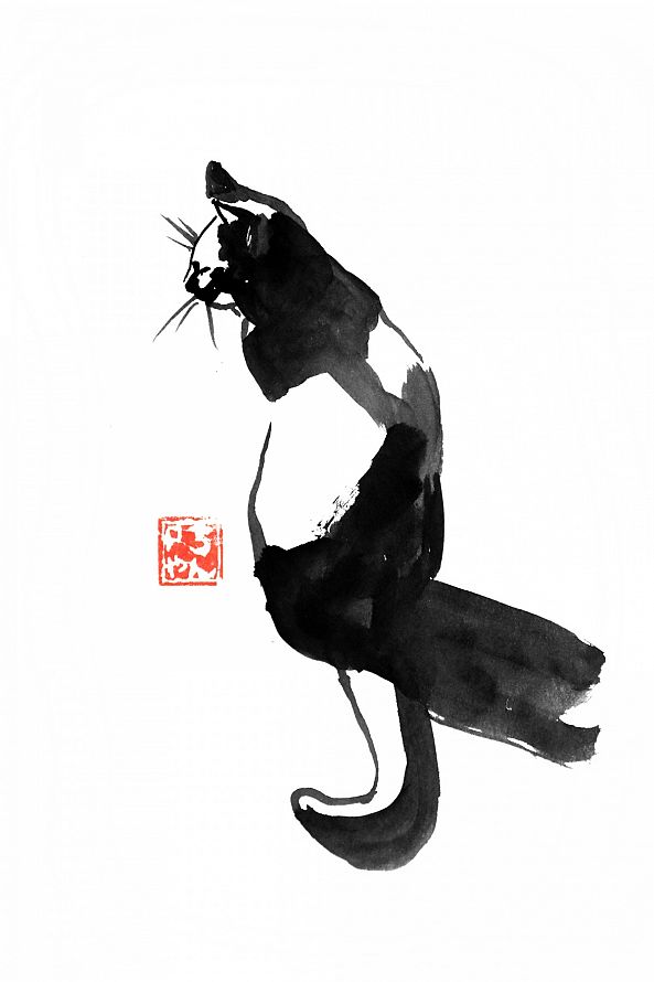 cat in the sun-pechane sumi-e