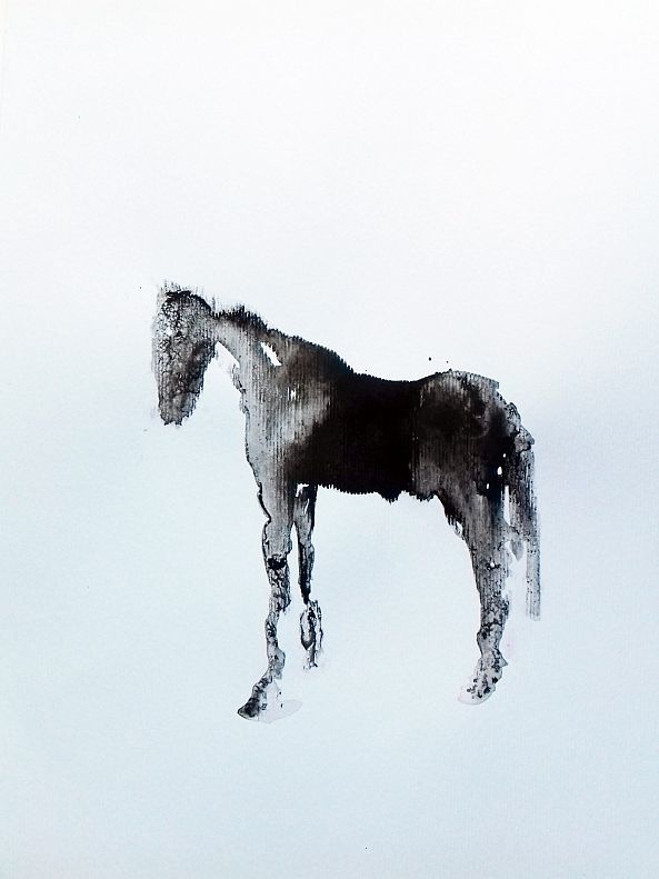 Little Black Horse-marija colic