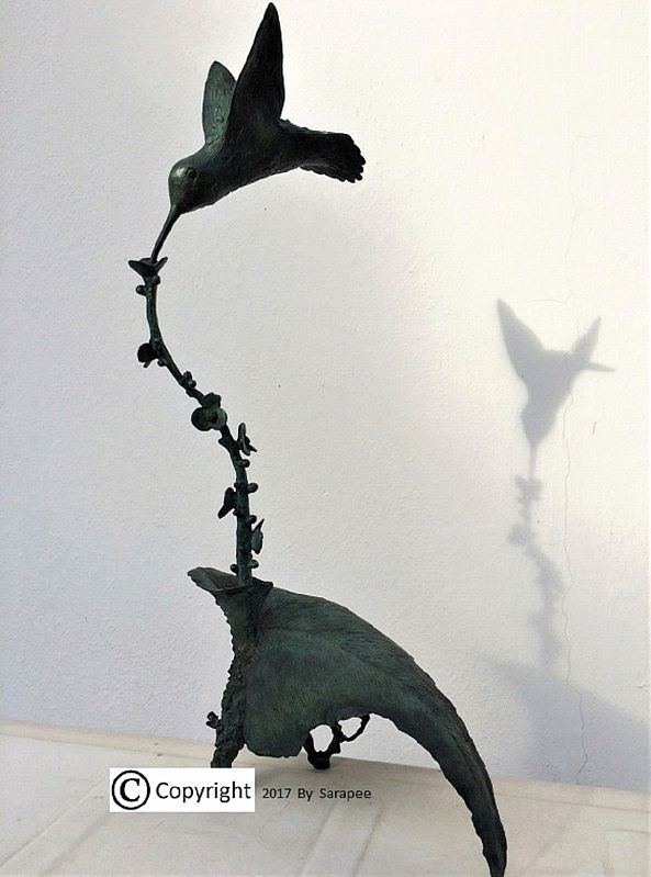 Hummingbird-Sara B