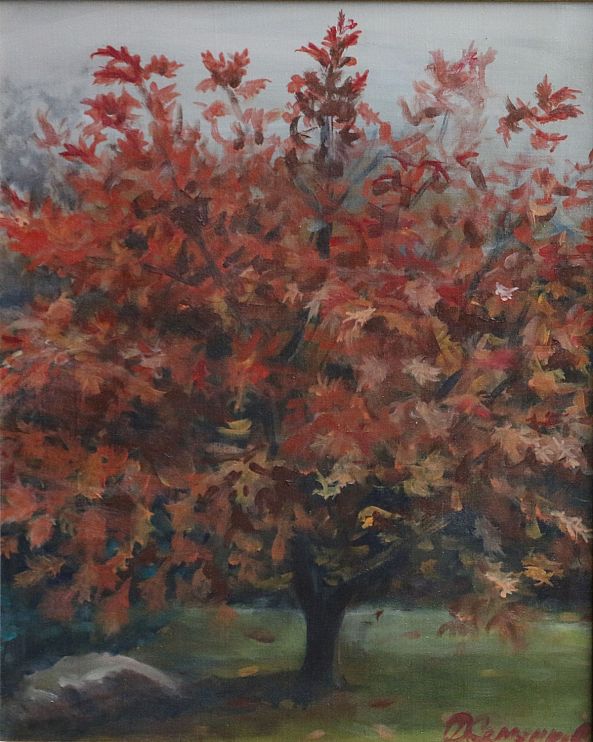 Red Oak-Dmitry Semenkov