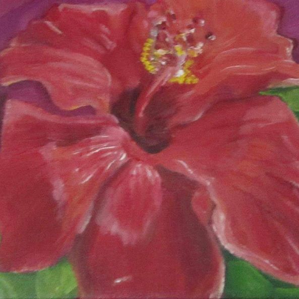 Red Hibiscus-Ligia Moya