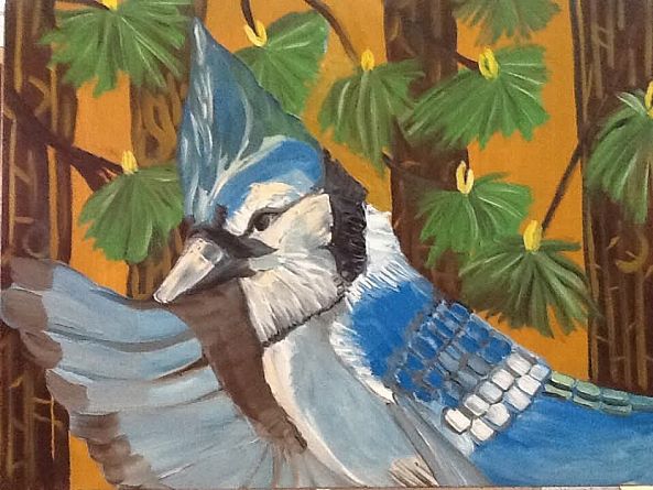 Maryland bluejay-Ligia Moya