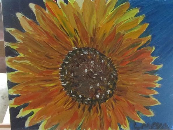 Closeup of sunflower-Ligia Moya