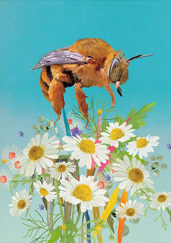 Teddy Bear Bee-Karin Roberts