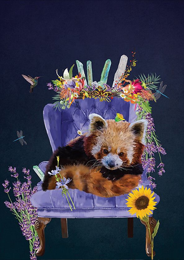 Regal Red Panda-Karin Roberts