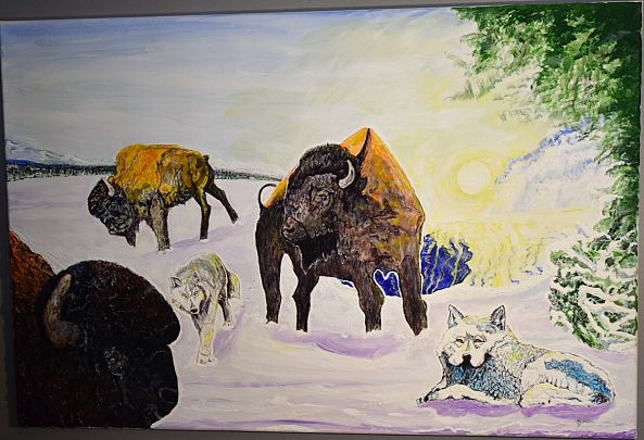 Bisons et loup blanc-Denis Roucau