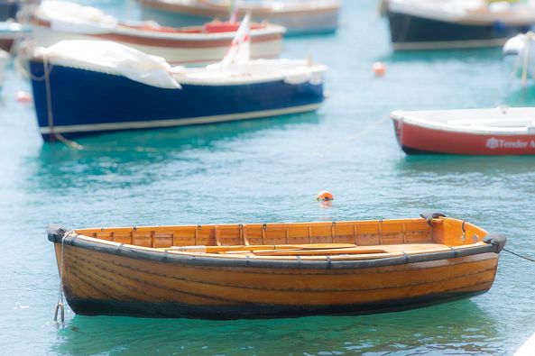 Portofino Dory-Greg  Sandoval