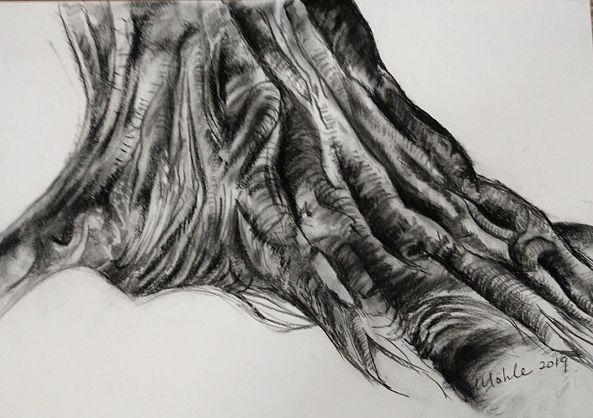 Tree study-Michele Booysen