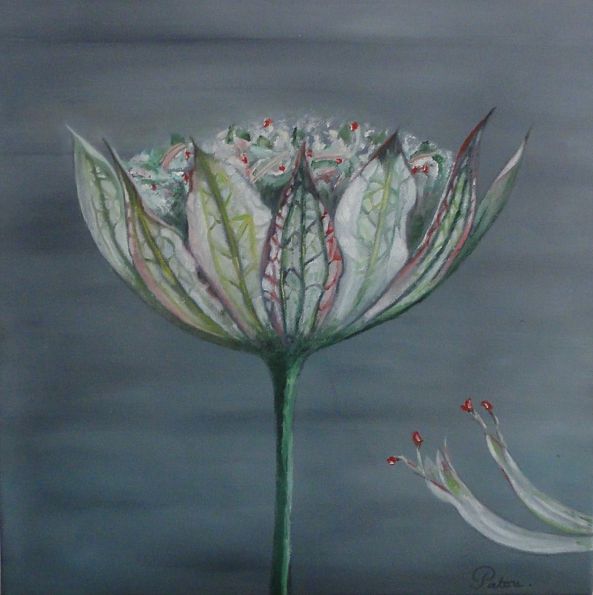 La Fleur du pré-PATRICIA MARTINEZ DE CHADOIS