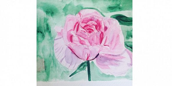 Watercolor flower of nature -yubirna paulino