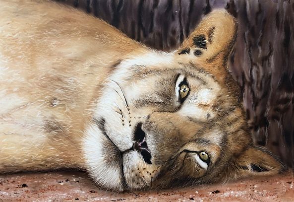 LA LIONNE-Alain DEMISSY