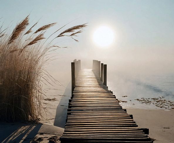 Foggy morning-ELIE  D'OLERON