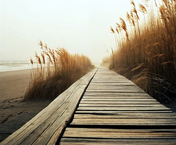 vent d'automne-ELIE  D'OLERON