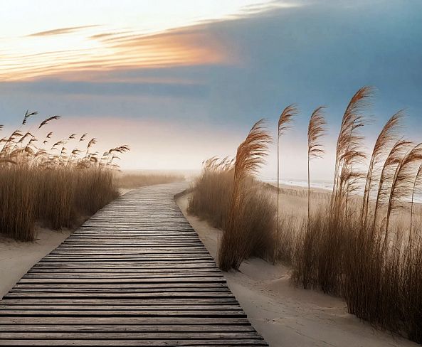 Brise-ELIE  D'OLERON
