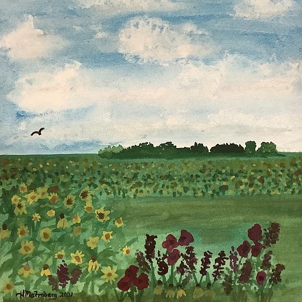 Iowa Prairie-Pete Malmberg