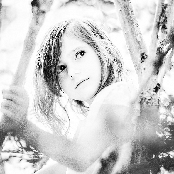 Anwen-Dominick Clos