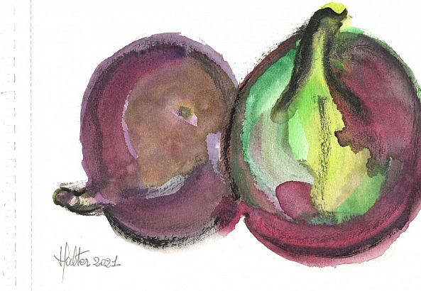 Deux figues-Alain HALTER