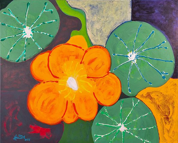 Une fleur et deux feuilles de capucine-Alain HALTER