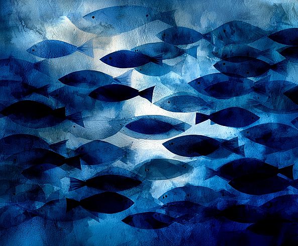 No way-ELIE _artiste