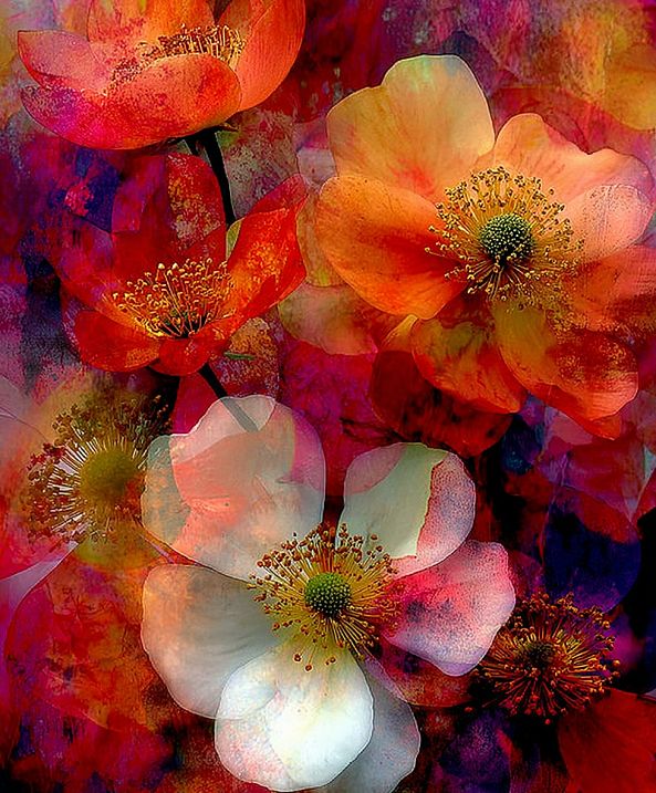 Floraly XXL-ELIE _artiste