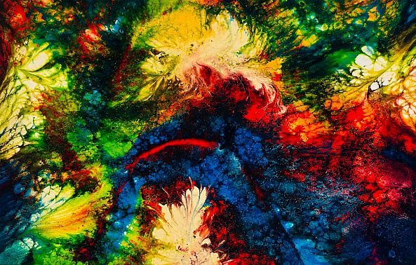 Bloom Within-Fati ESS