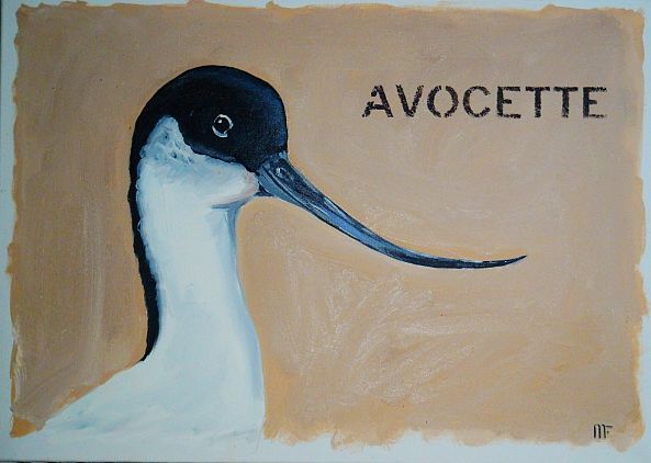 avocette-françois mouillard