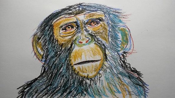 Monkey 2-Fred Touraine