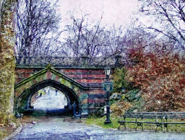 BRIDGE-Javier Diaz