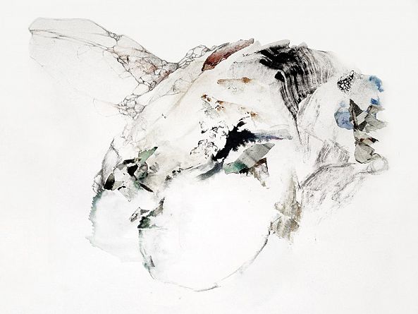915-I / seabird-Aude Haefflinger