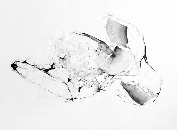 616-I / untitled-Aude Haefflinger