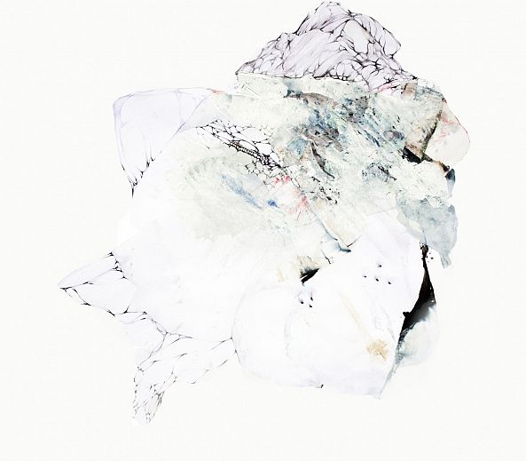 915-II / seabird-Aude Haefflinger